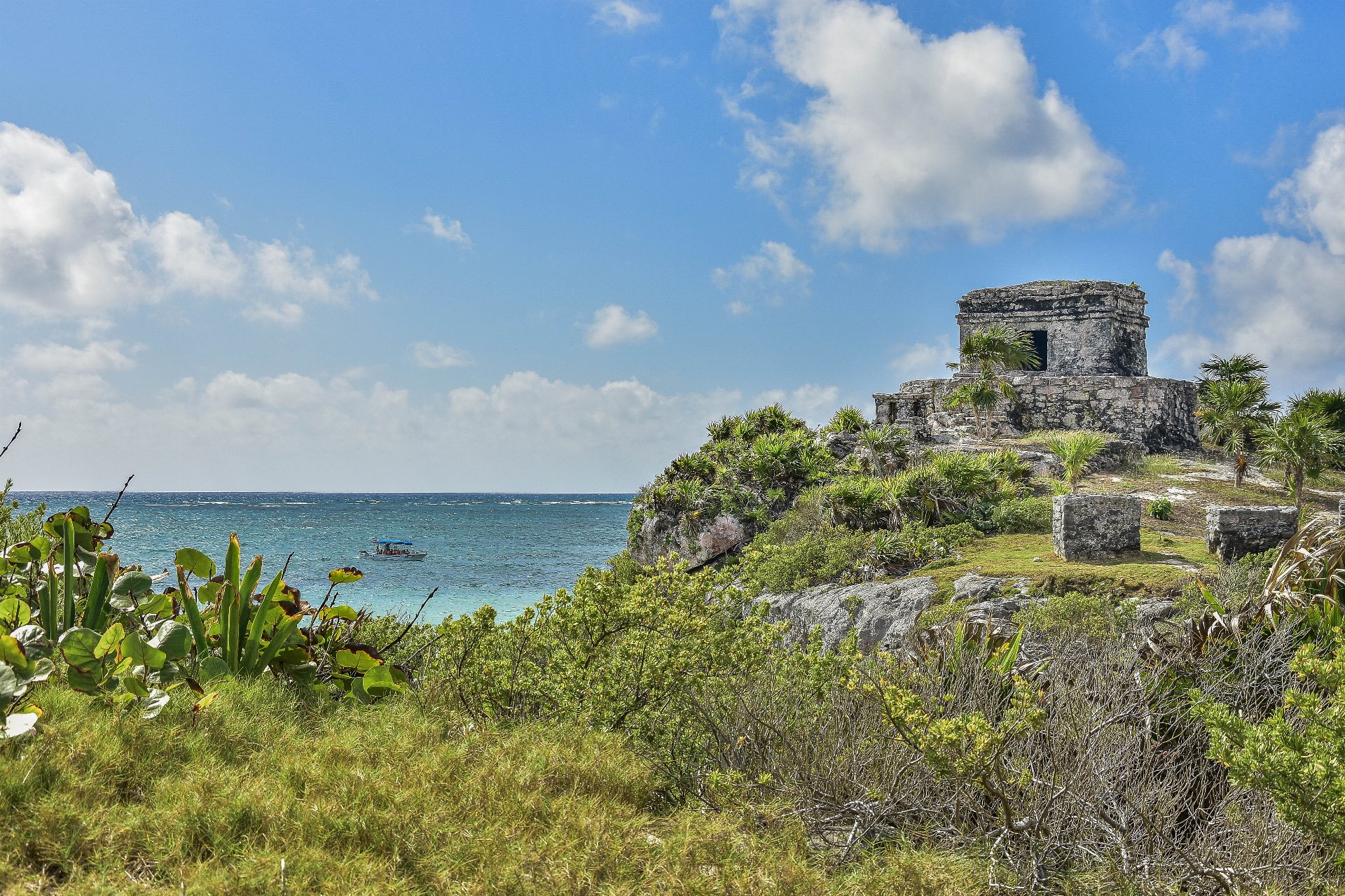 Explora ruinas antiguas y cenotes de la selva con guías expertos