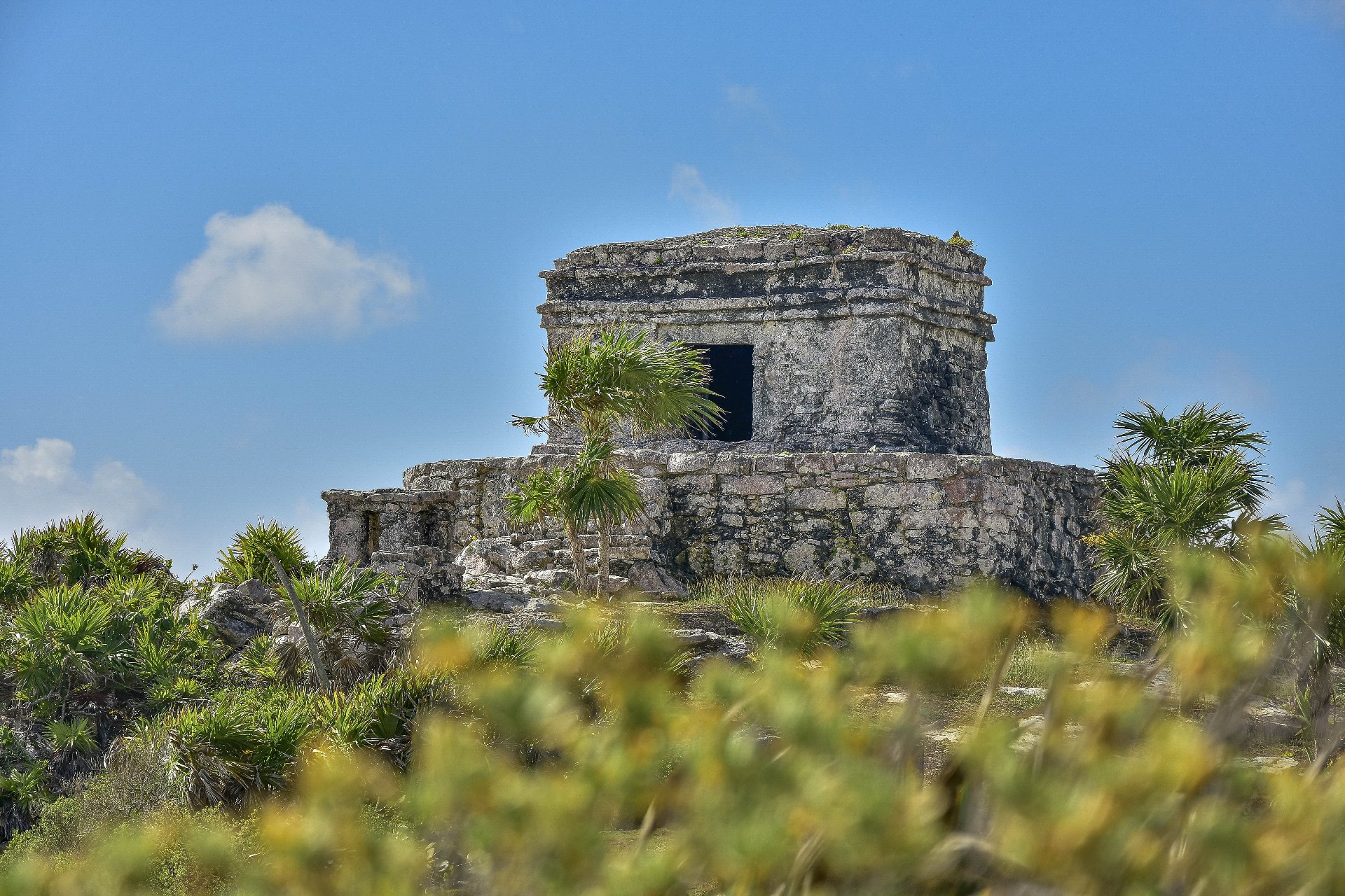 Ruinas privadas de Tulum y selva con tirolesa, rappel y snorkel en cenotes