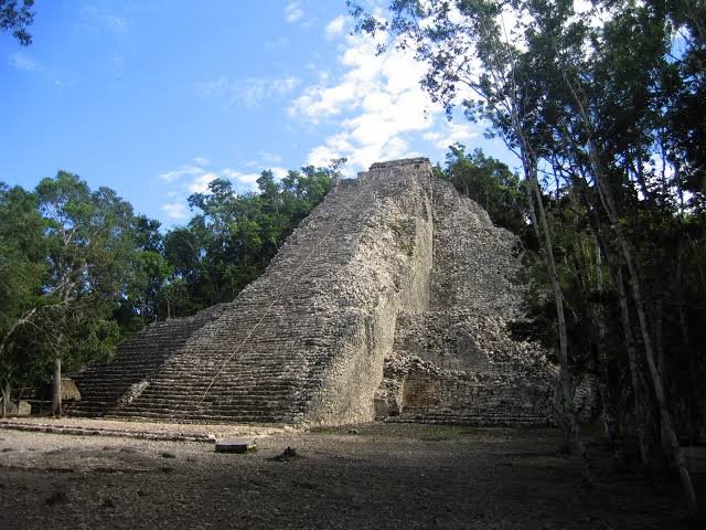 Gallery 3