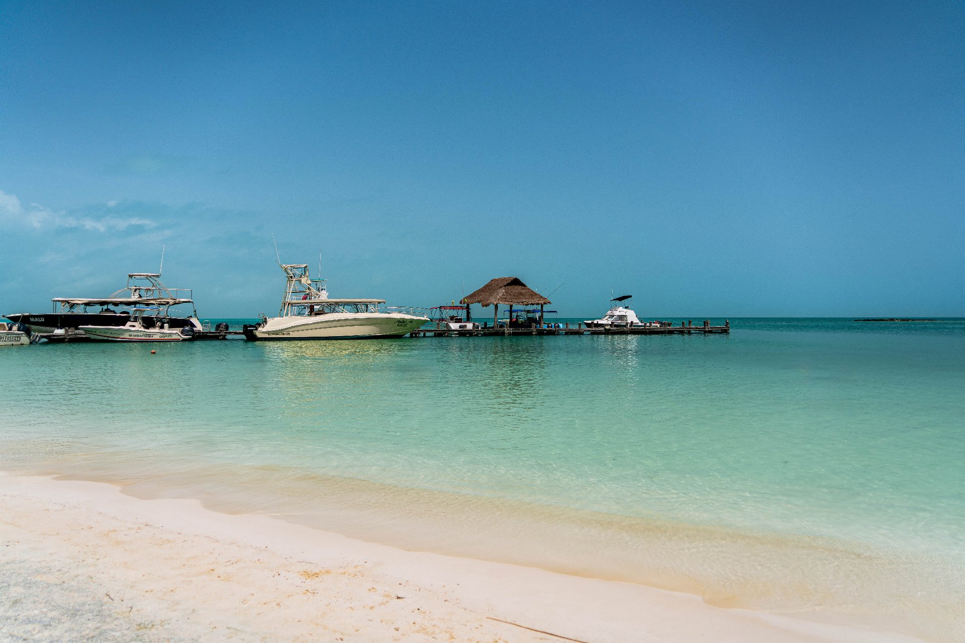Tour Privado Isla Mujeres e Isla Contoy